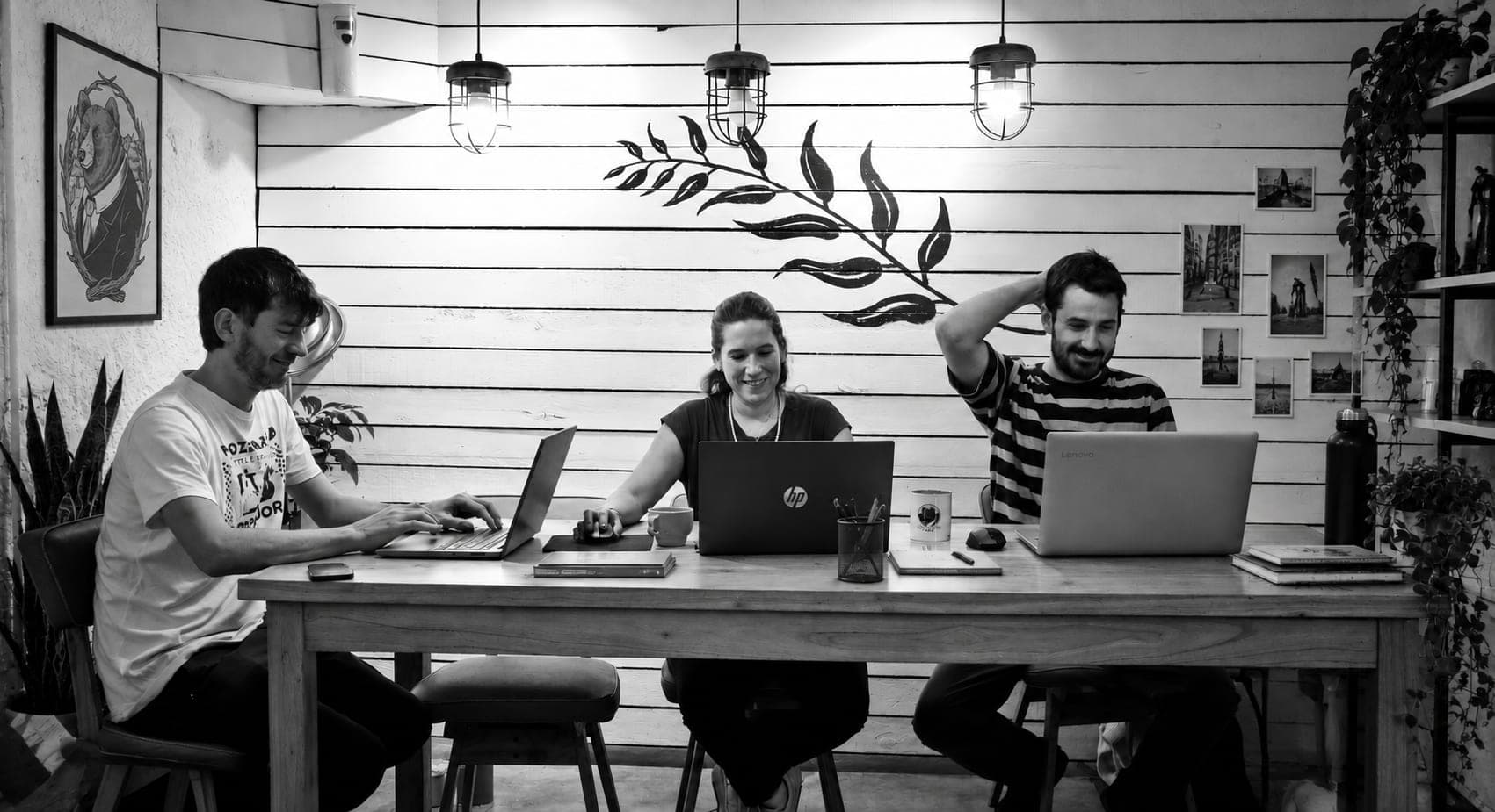 El equipo detrás de Oso Gordo Lab